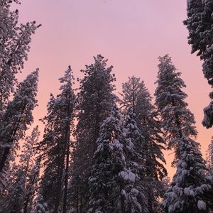 Meet your Posher, Jade